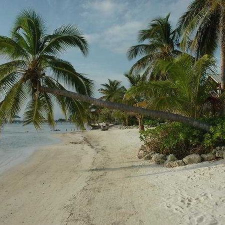El Pescador Hotel San Pedro  Facilități foto